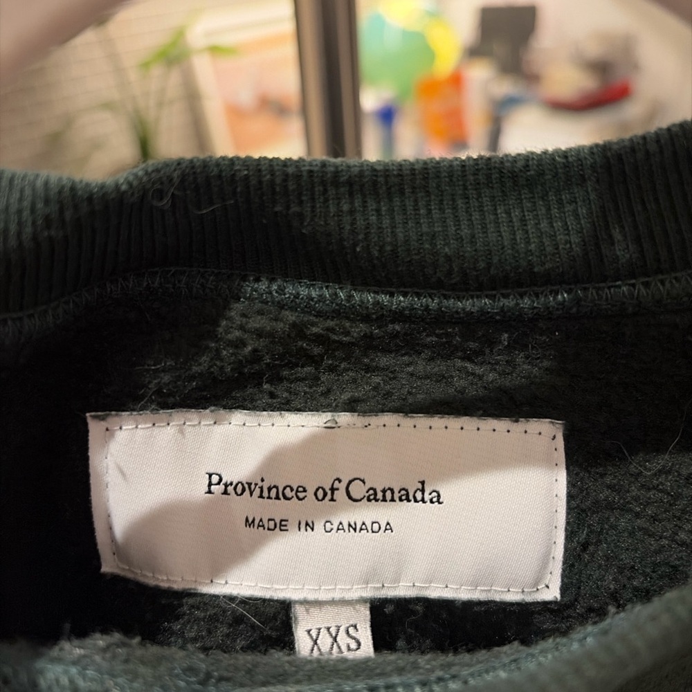 Province of Canada script logo crewneck sweatshirt in green XXS (fits like an S) - Picture 2 of 3